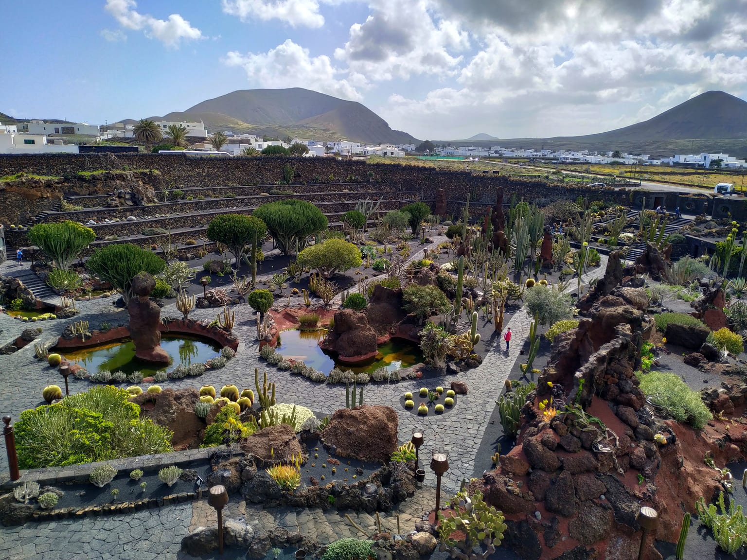 Cactus Garden