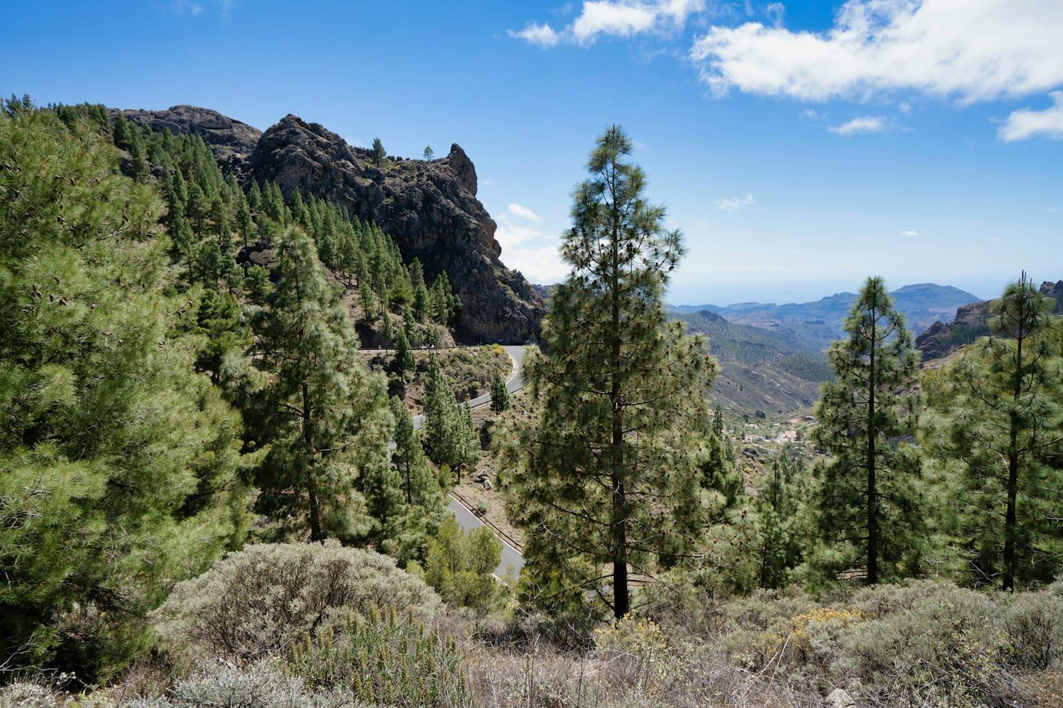 Barrancos verdes del interior de Gran Canaria