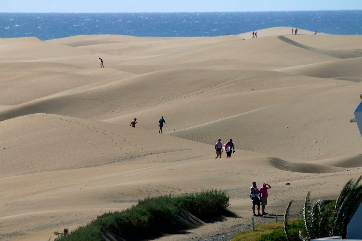 Dunas de Maspalomas junto al mar en Gran Canaria