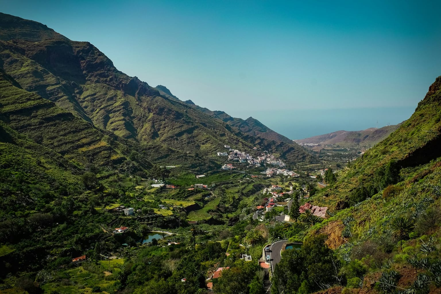 Pinar de montana bajo cielo azul en Gran Canaria