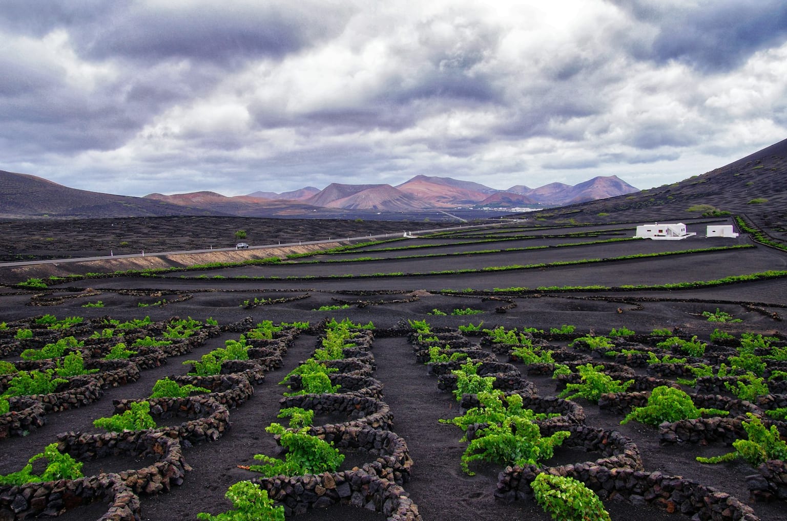 Cultivos de vid en La Geria con volcanes al fondo