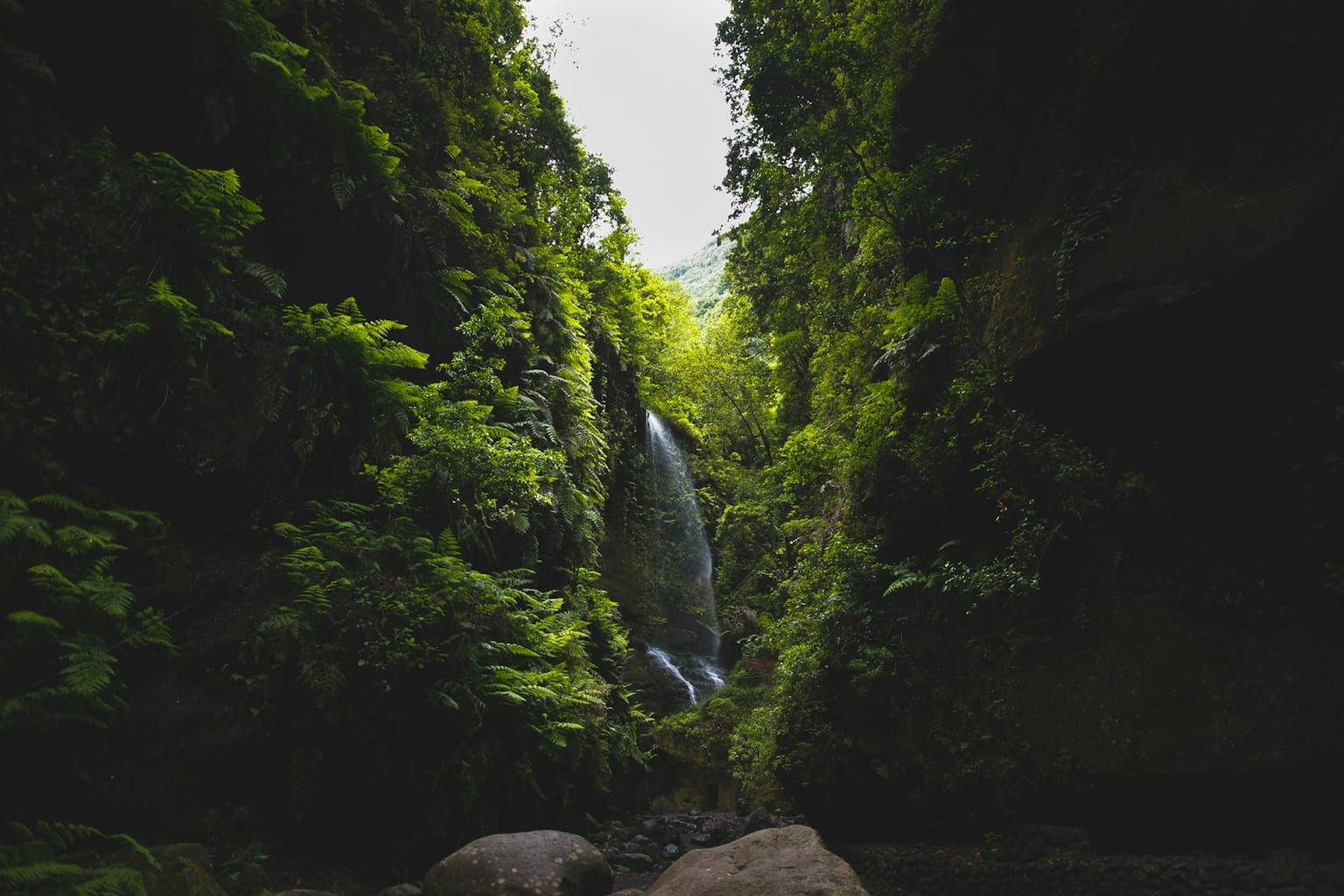 Cascada rodeada de vegetacion en La Palma