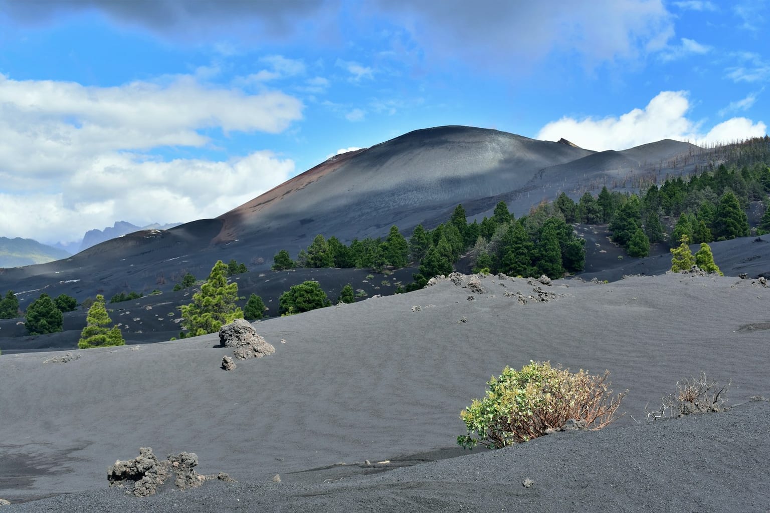 Cumbres y pinares de La Palma
