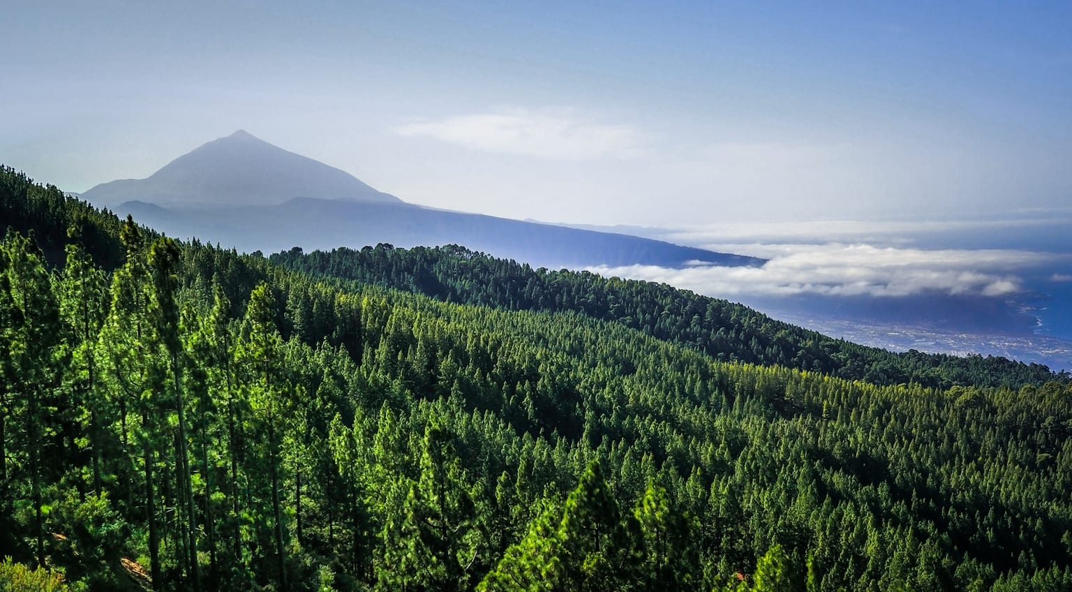 Laderas verdes de monteverde en Tenerife