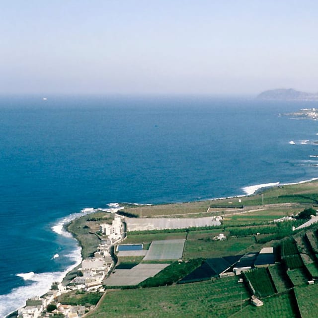 Vista de Santa María de Guía de Gran Canaria, Gran Canaria