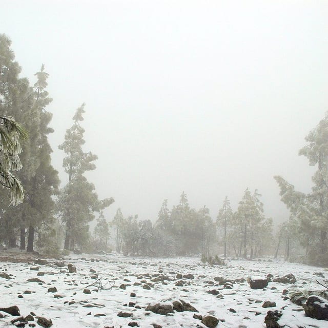 Vista de Vega de San Mateo, Gran Canaria