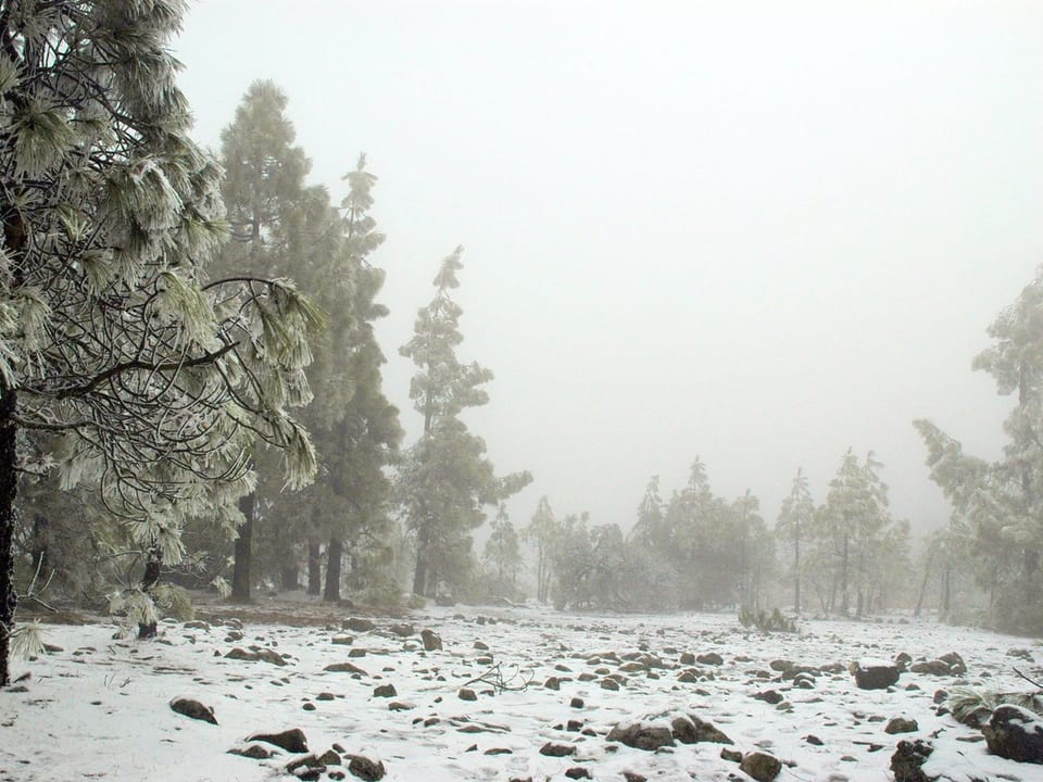 Vue de Vega de San Mateo, Gran Canaria