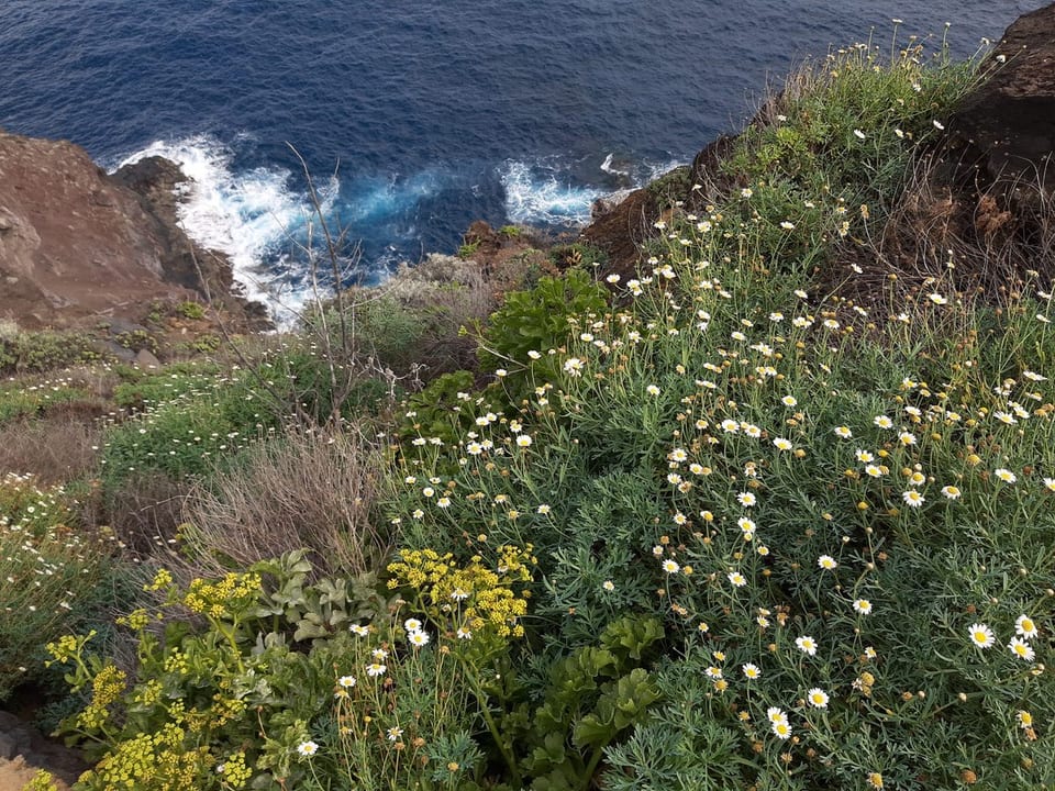 Vista de Puntallana, La Palma
