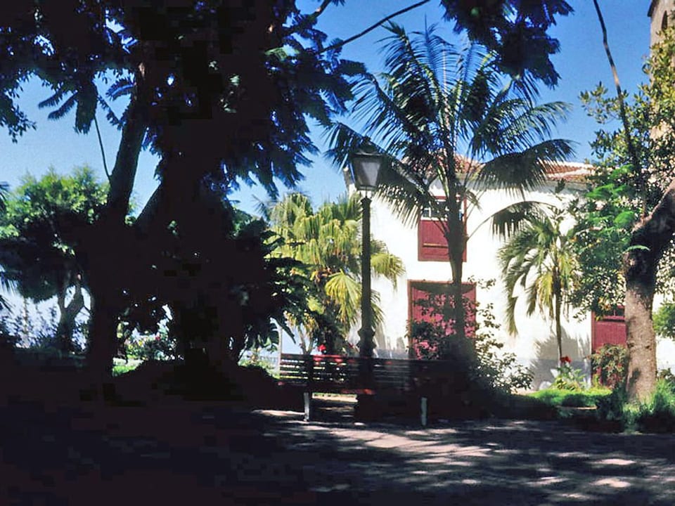 Ansicht von Icod de los Vinos, Tenerife