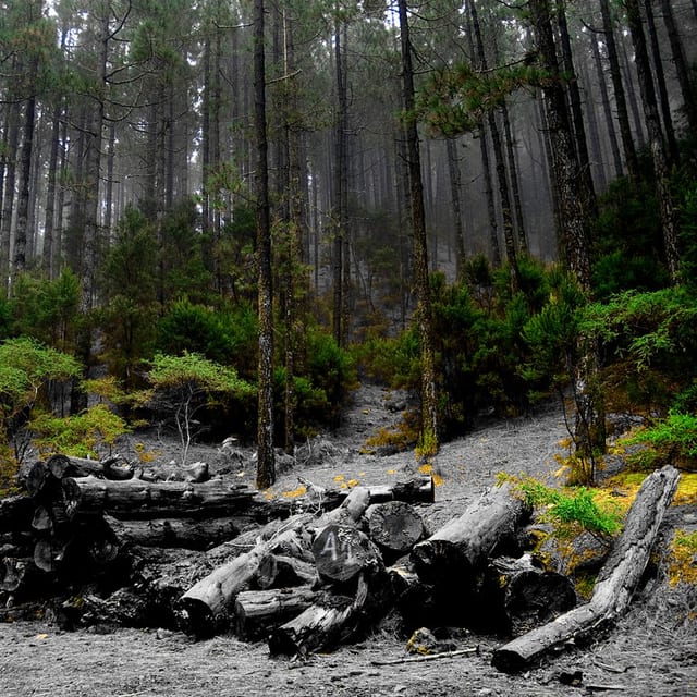 Vista de La Matanza de Acentejo, Tenerife