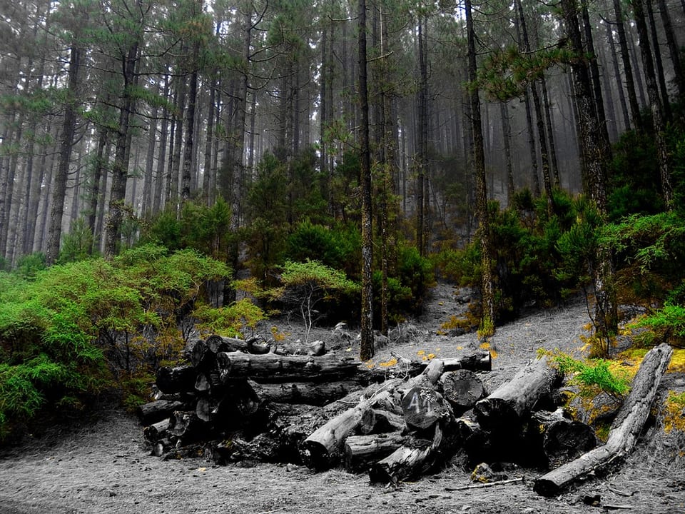 Ansicht von La Matanza de Acentejo, Tenerife
