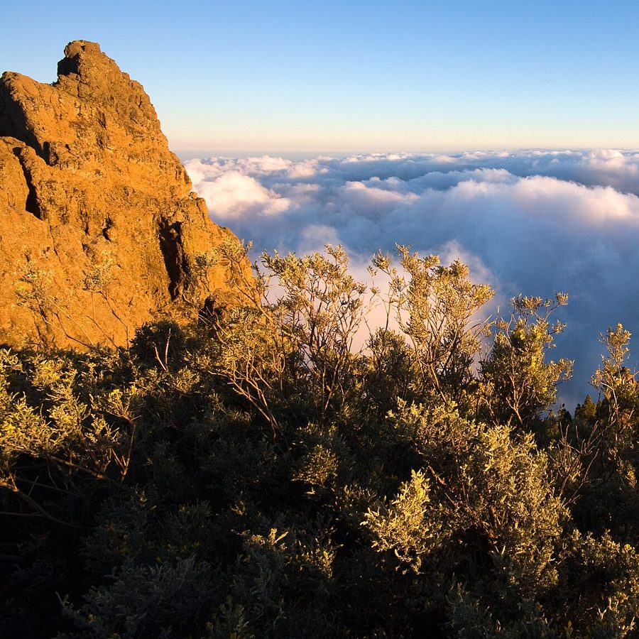 Vista de San Bartolomé de Tirajana, Gran Canaria