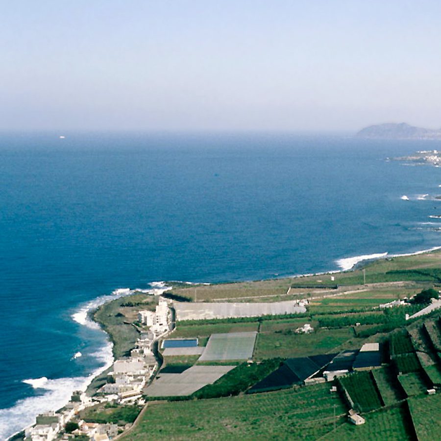 Vista de Santa María de Guía de Gran Canaria, Gran Canaria