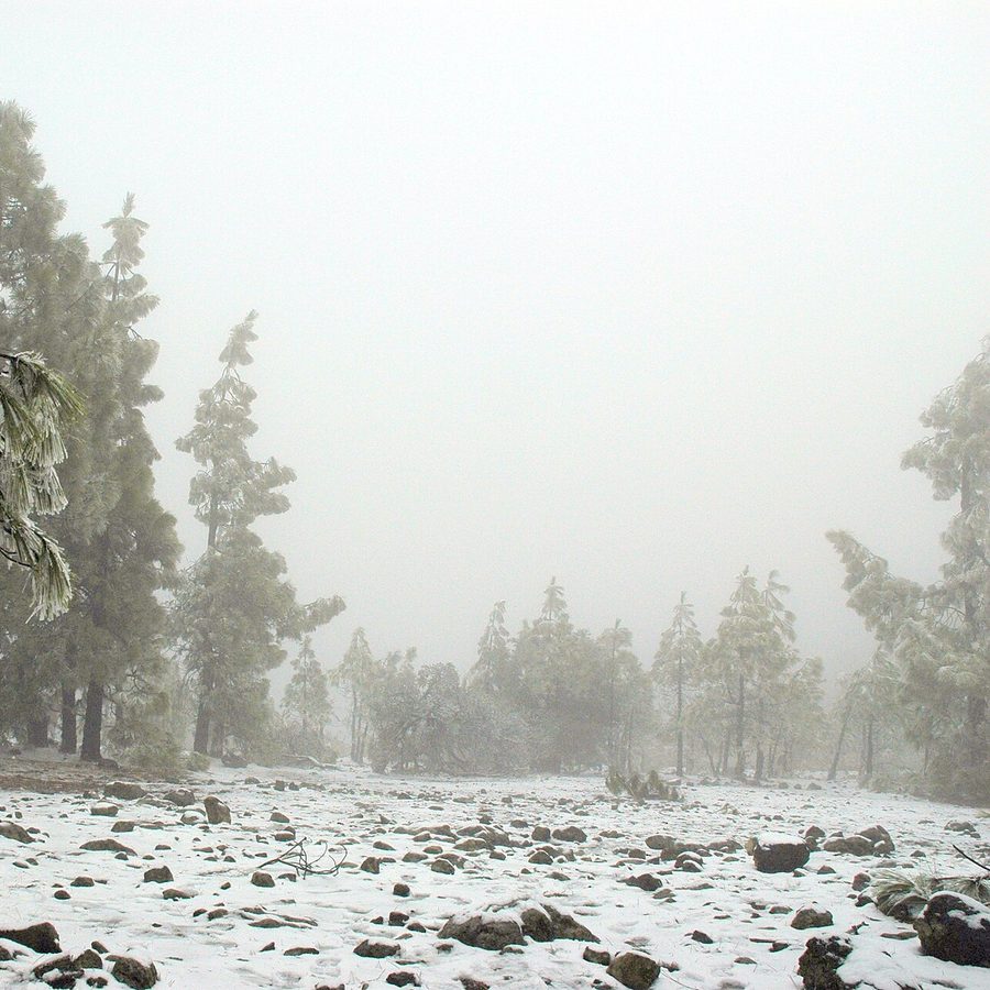 Vista de Vega de San Mateo, Gran Canaria
