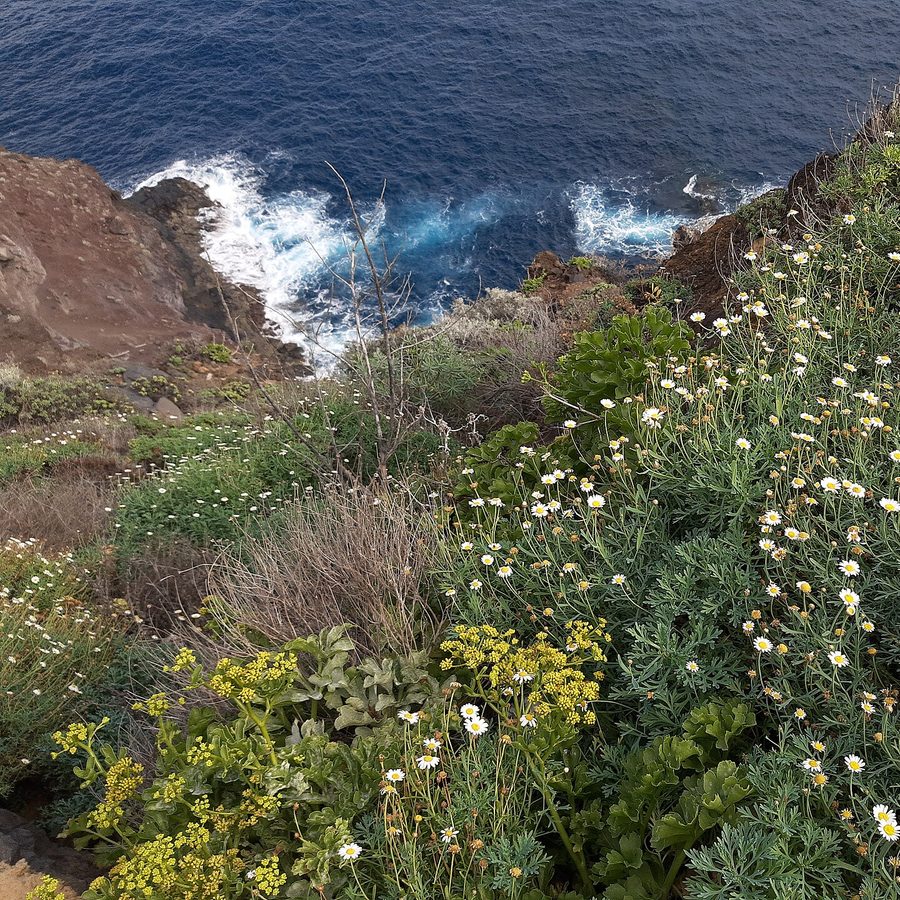 Vista de Puntallana, La Palma