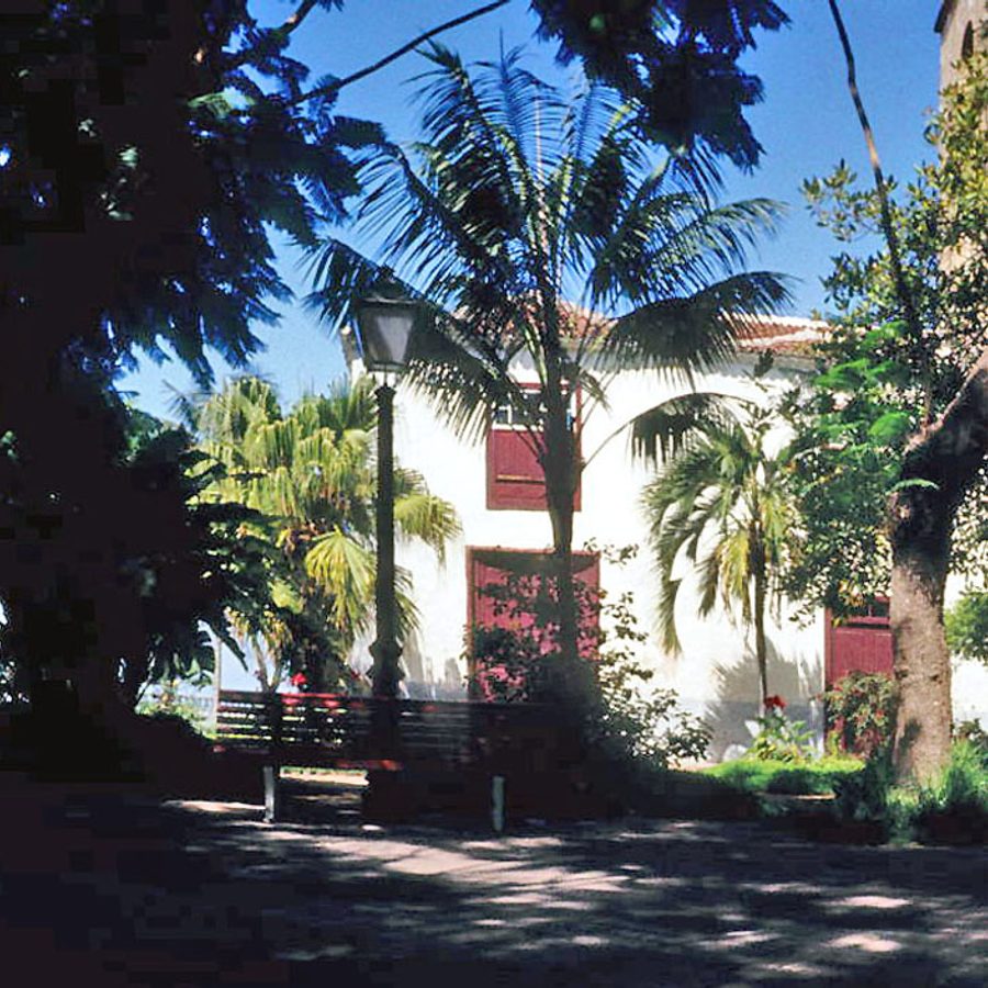 Vista de Icod de los Vinos, Tenerife