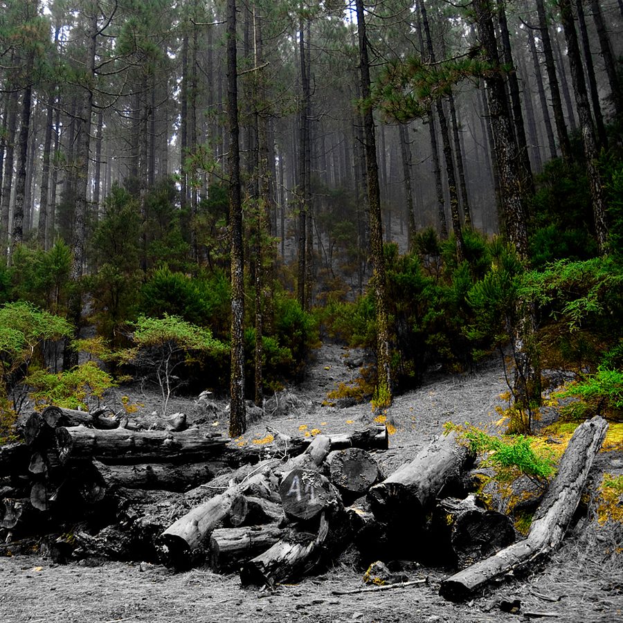 Vista de La Matanza de Acentejo, Tenerife